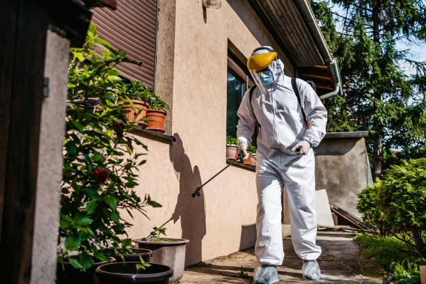 Best Affordable Pest Control Services  in Battle Mountain, NV