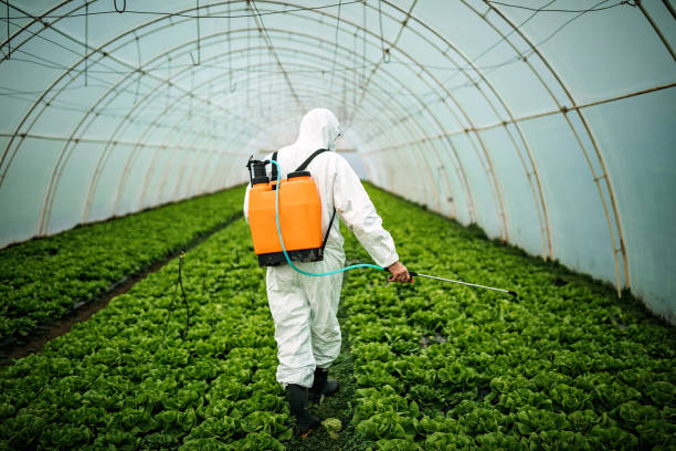 Best Mosquito Control Services  in Battle Mountain, NV