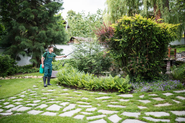 Best Pest Removal Services  in Battle Mountain, NV