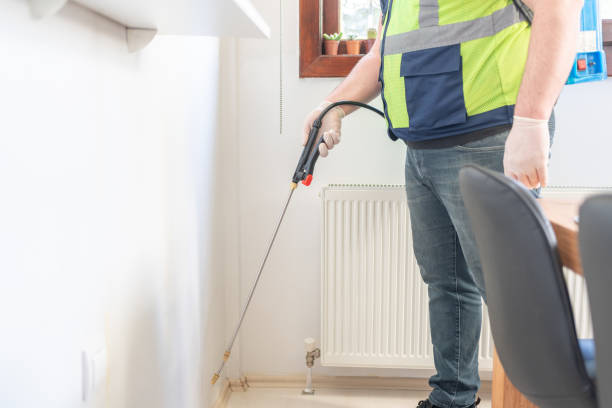 Best Flea Control Services  in Battle Mountain, NV