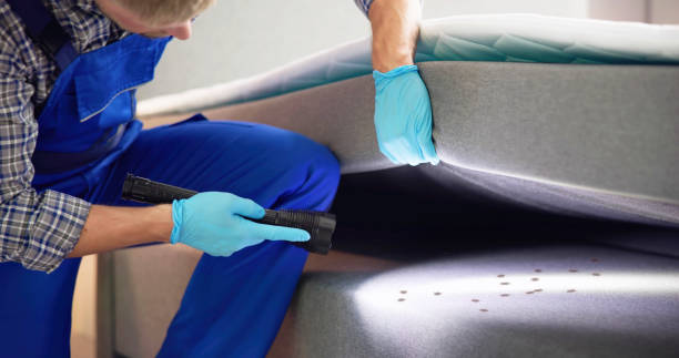 Best Commercial Pest Control Services  in Battle Mountain, NV