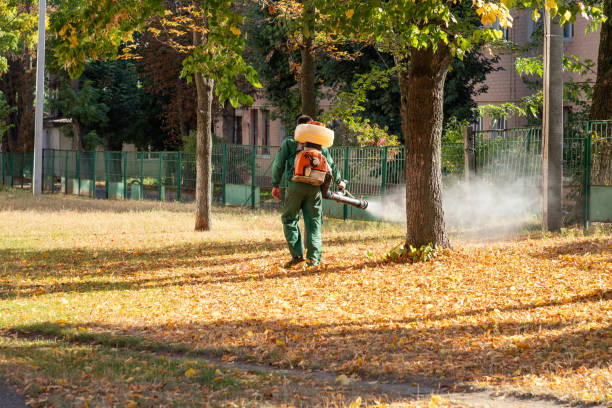 Best Local Pest Control Services  in Battle Mountain, NV