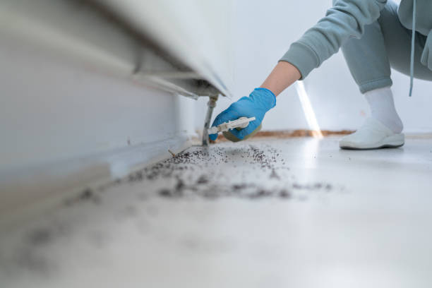 Best Residential Pest Control  in Battle Mountain, NV