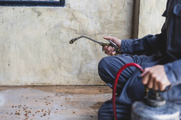 Best Affordable Pest Control Services  in Battle Mountain, NV